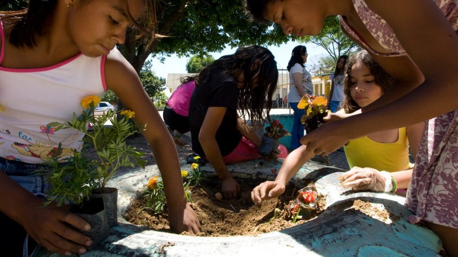 youth planting a garden
